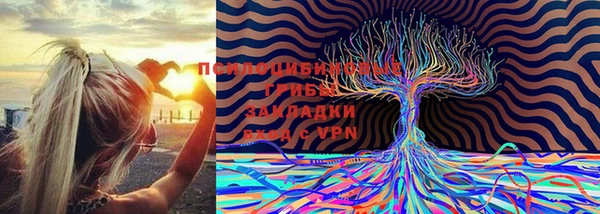первитин Володарск