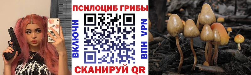 где купить Дюртюли мега сайт Псилоцибиновые грибы прущие грибы